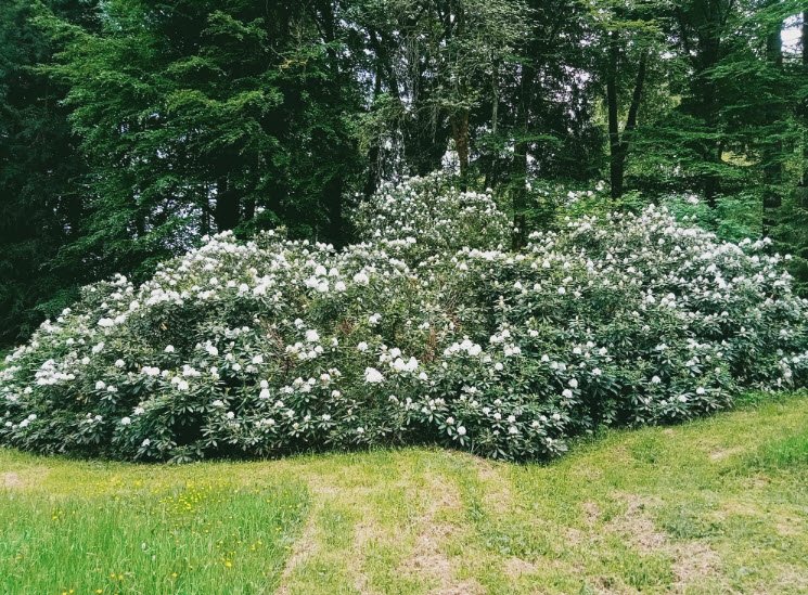 Parc Arboretum de Saint-Setiers, Saint-Setiers, France, France